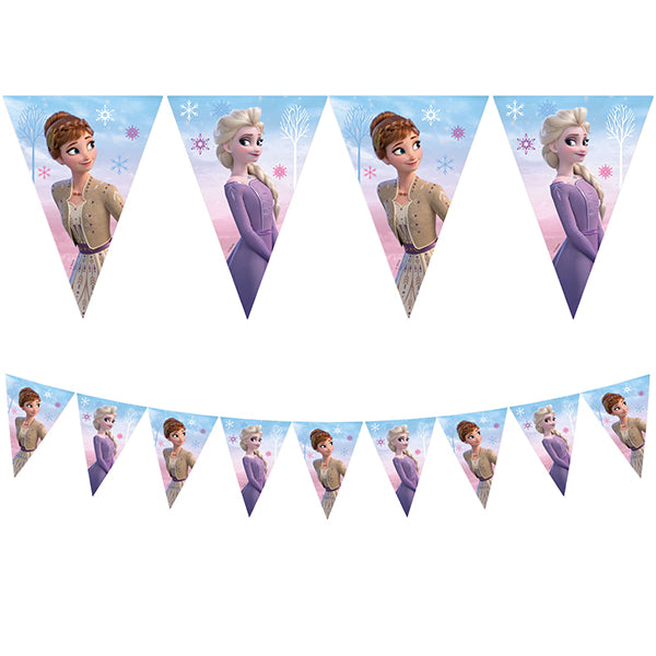 Disney Frozen 2 Wind And Spirit Party Bunting