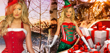 Ladies Santa Costumes