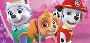 Pink Paw Patrol Party Supplies