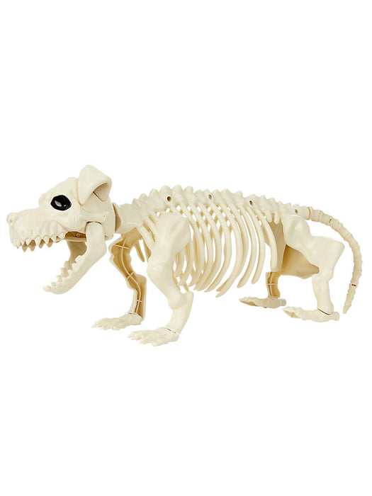 Dog Skeleton Prop, Natural