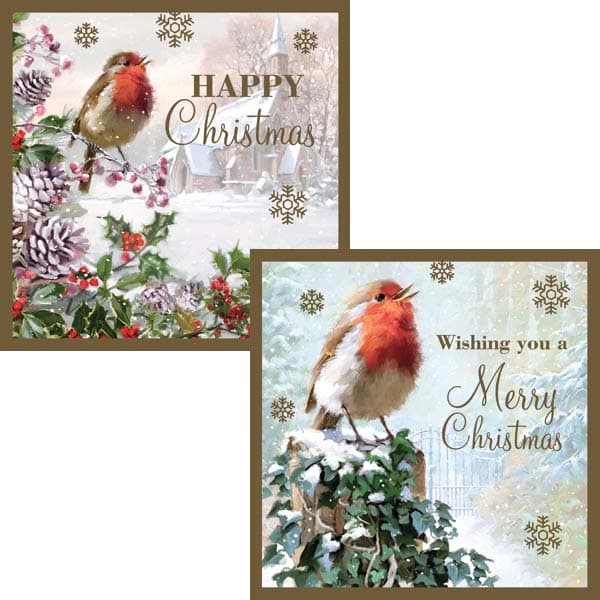 Robin Christmas Cards 12pk