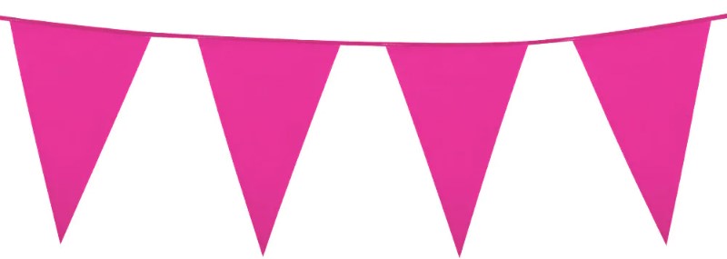 Bright Pink Giant Pennant Bunting