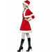 Miss Santa Costume
