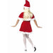 Miss Santa Costume