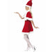 Miss Santa Costume