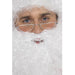 Half Moon Santa Specs