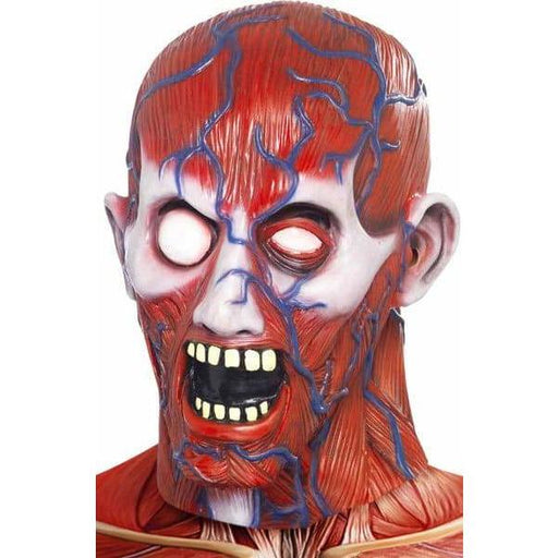 Anatomy Man Mask