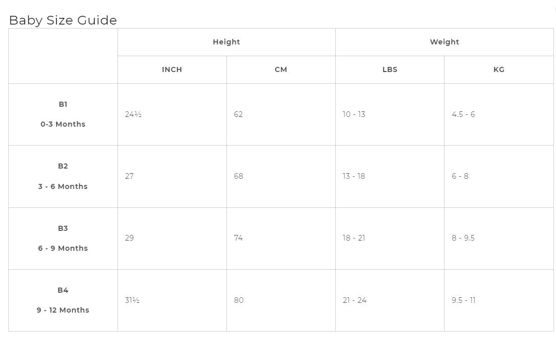 Pumpkin Baby Costume