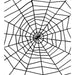Black Widow Spiders Web Decoration