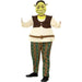 Shrek Kids Deluxe Costume