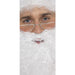 Half Moon Santa Specs