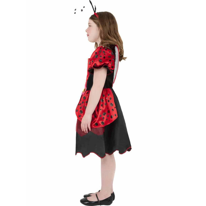 Little Lady Bug Costume
