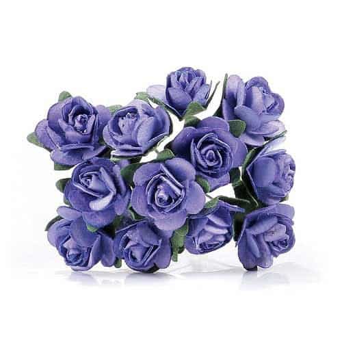 Purple Tea Roses x24