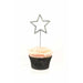 Silver Diamante Star Shape Pick