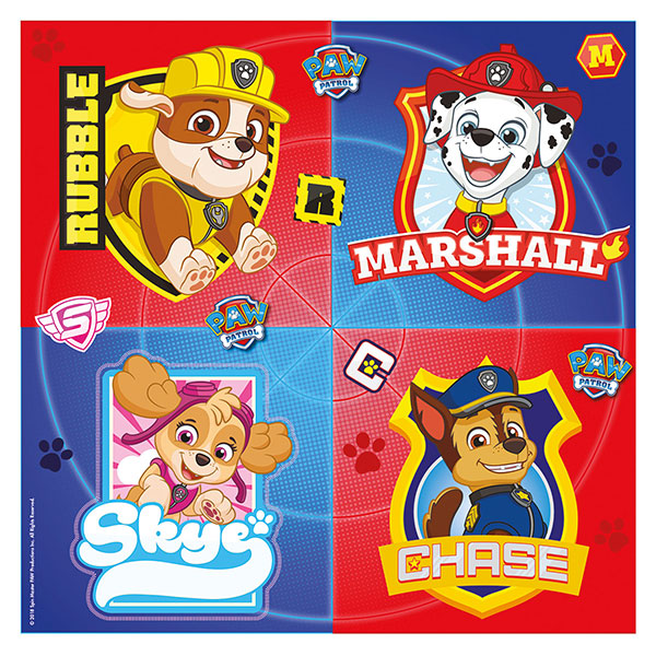 Paw Patrol Party In A Box