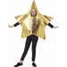 Gold Shining Star Christmas Costumes